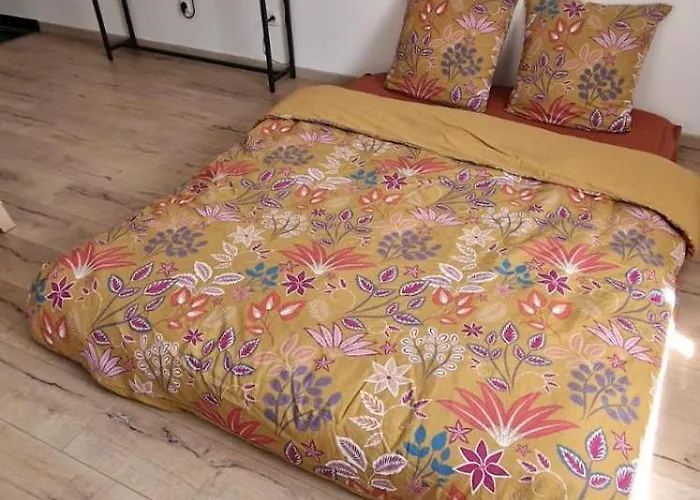 Bel Renove Avec De Beaux Volumes